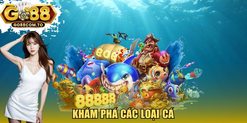 Khám phá các loại cá 