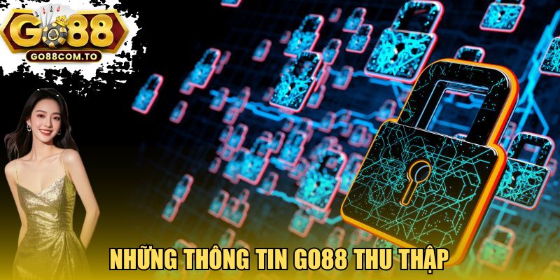 Những thông tin GO88 thu thập 